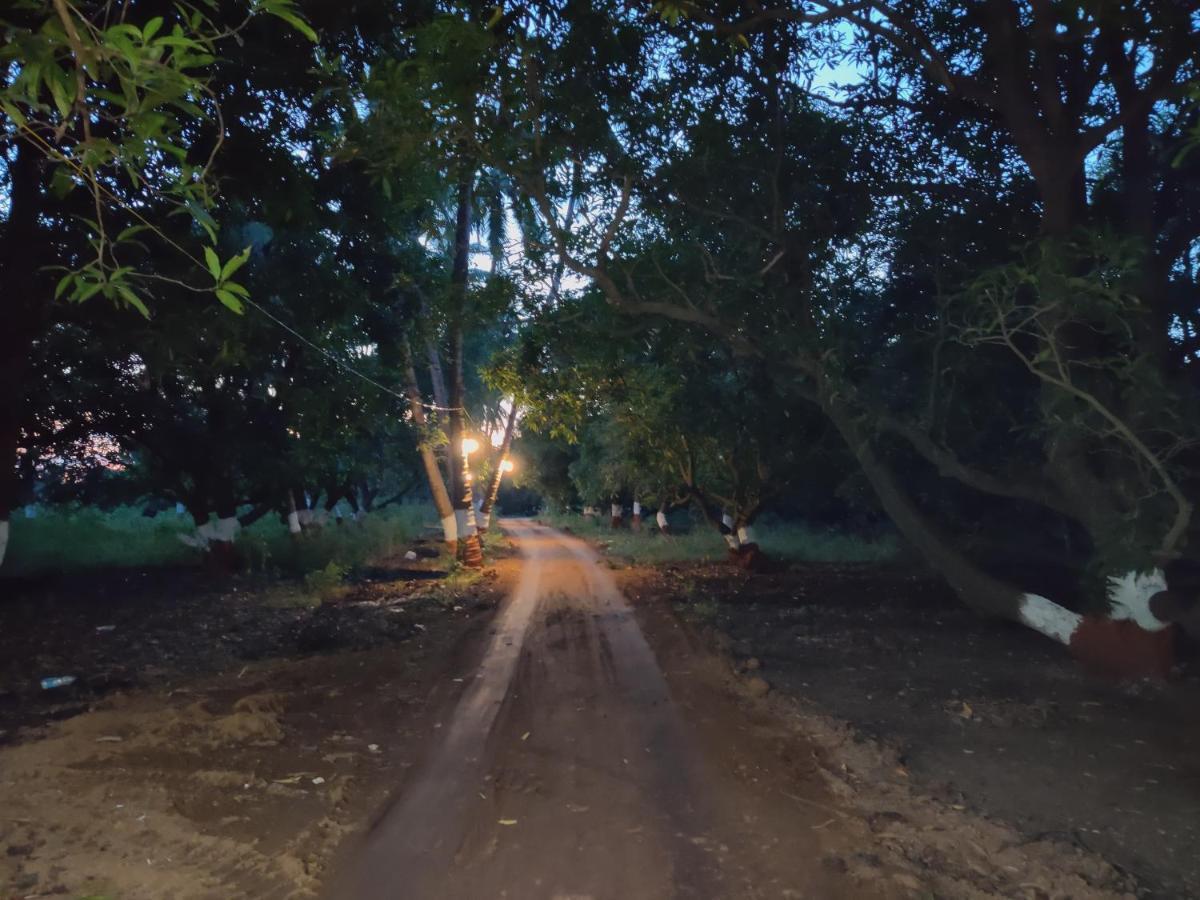 Shiv Farm House Hotel Sasan Gir Bagian luar foto